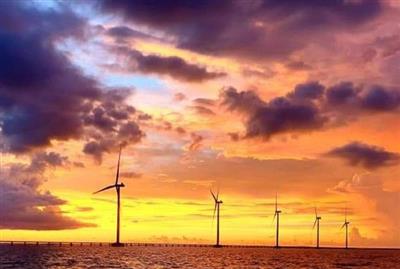 Dự án điện gió Đông Hải 1: Công trình của  ...